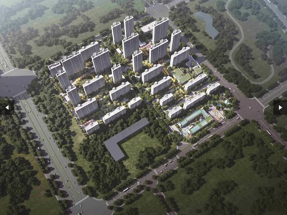 必看楼盘】滨湖区望雲项目实地探盘pg电子模拟器电脑版【合肥买房(图3)