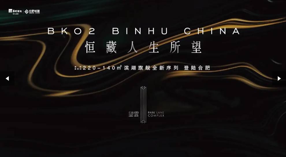 必看楼盘】滨湖区望雲项目实地探盘pg电子模拟器电脑版【合肥买房(图4)