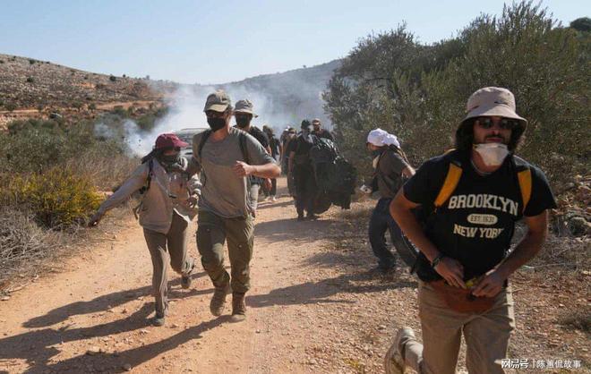 ：西岸农民因定居者暴力而无法收获橄榄pg电子平台“橄榄对我们就是一切”(图2)